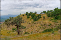 Andalusien_DSF6821_openWith-copy