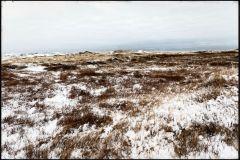 DSF6133_DXO2