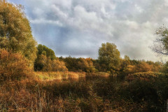 soeen-baggrund-copy_DXO